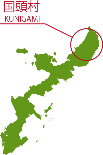 国頭村 KUNIGAMI