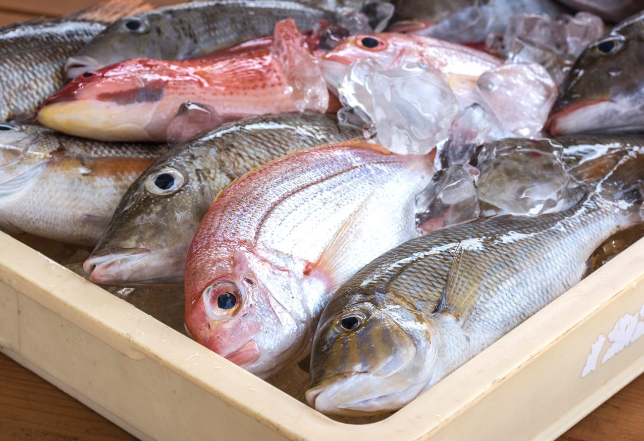 まるとみ鮮魚かまぼこ店